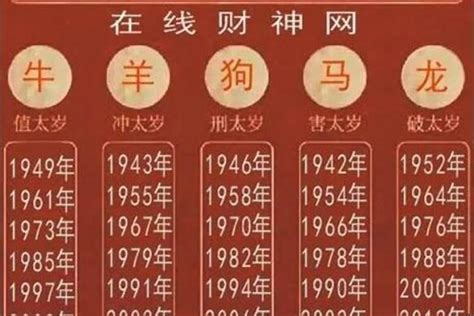 2025年是什么生肖|2025年属什么生肖